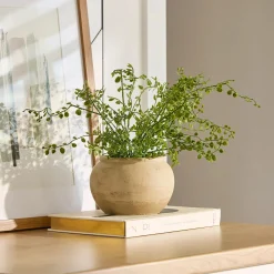 Artificial Fern