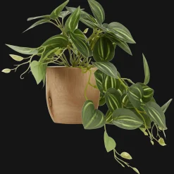 Artificial Fittonia in Wood Pot