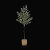 Artificial Olive Tree in Basket
