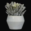 Artificial Panda Plant in Ceramic Pot