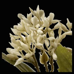 Artificial White Lilac Bud Stem