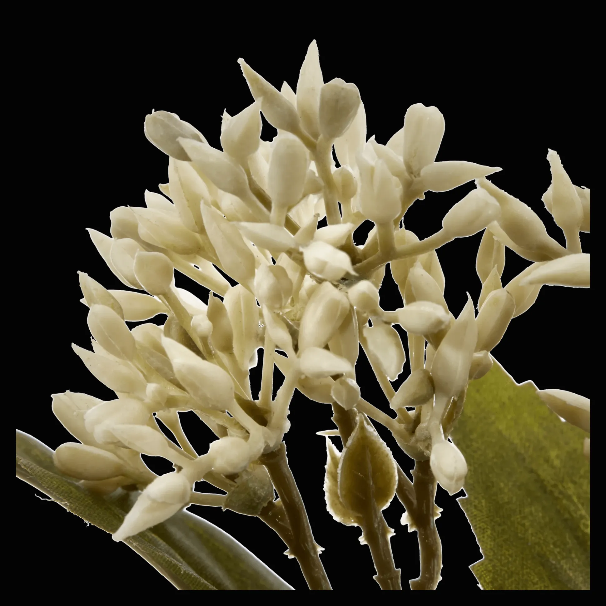 Artificial White Lilac Bud Stem