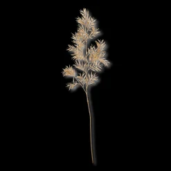 Beige Wild Leaves Stem