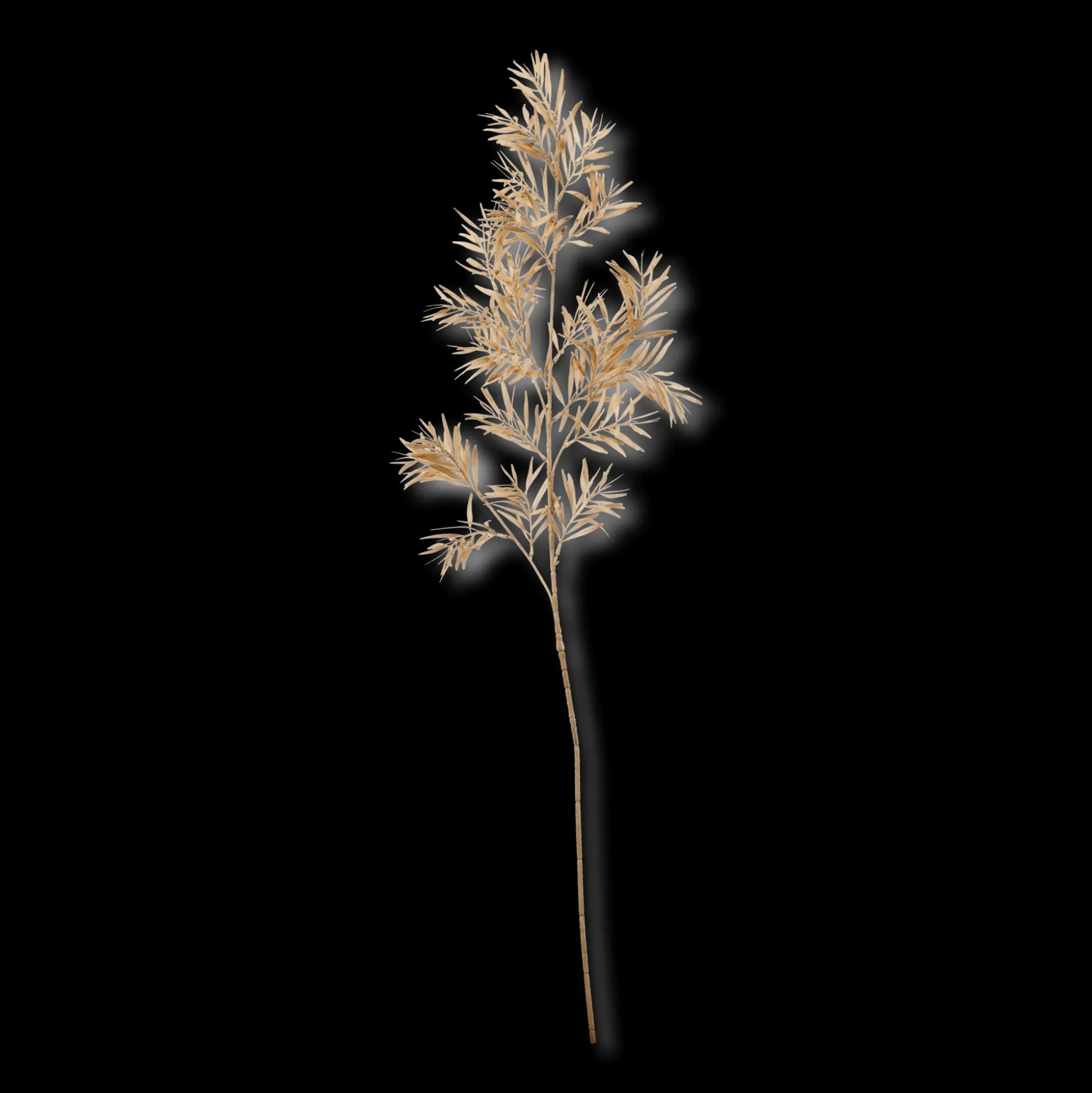 Beige Wild Leaves Stem