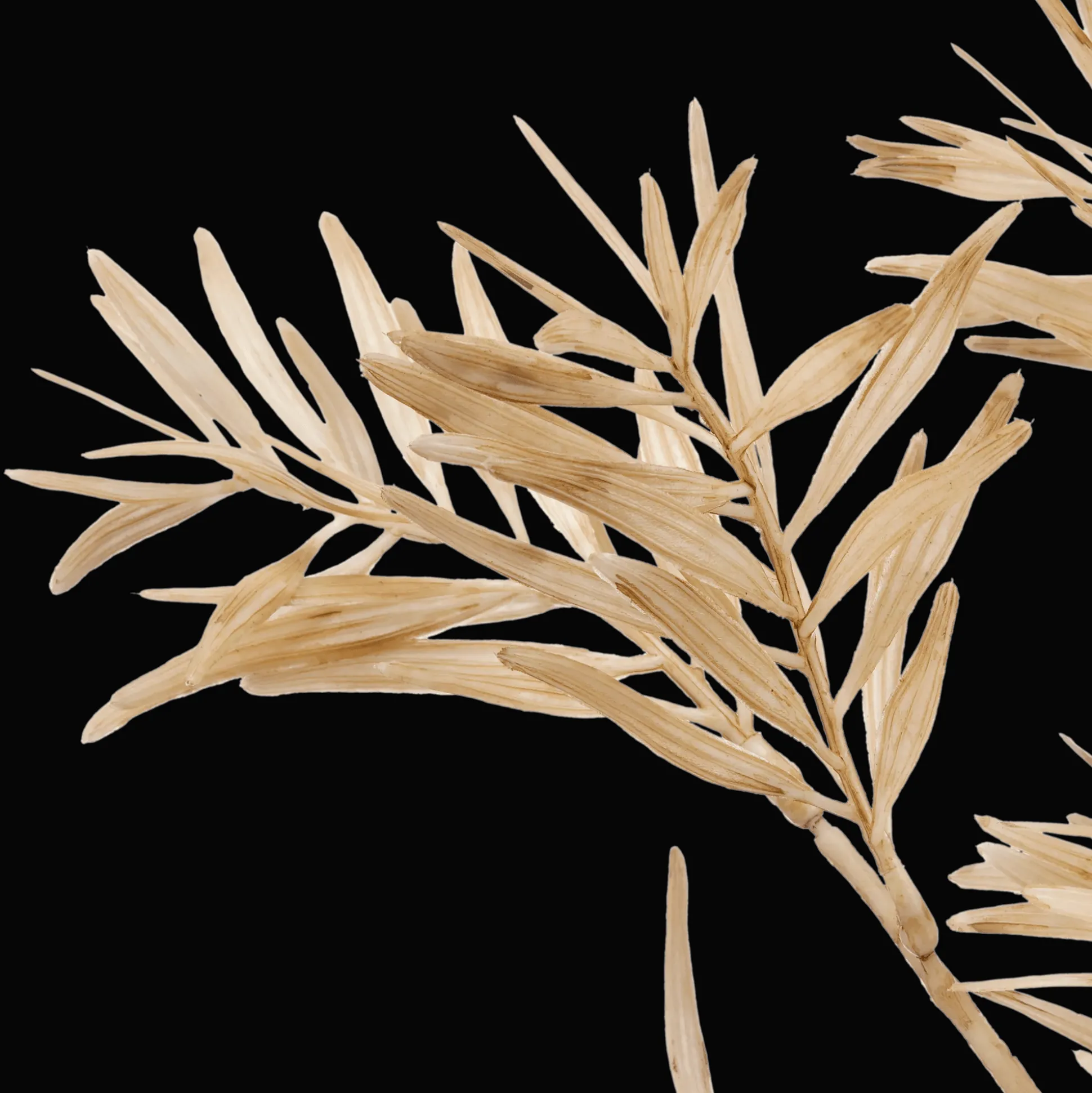 Beige Wild Leaves Stem