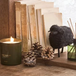 Boreal Forest Candle