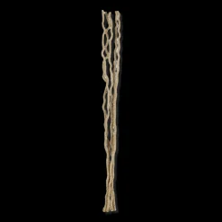 Bouquet of 5 Seagrass Stems