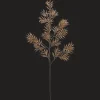 Brown Wild Leaves Stem