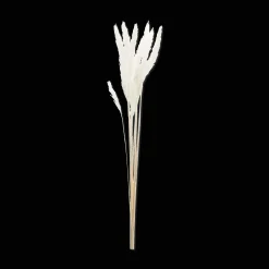 Bundle of Wheat