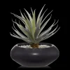Ceramic Potted Greenery