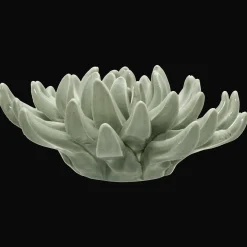 Ceramic Succulant