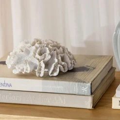 Decorative Coral