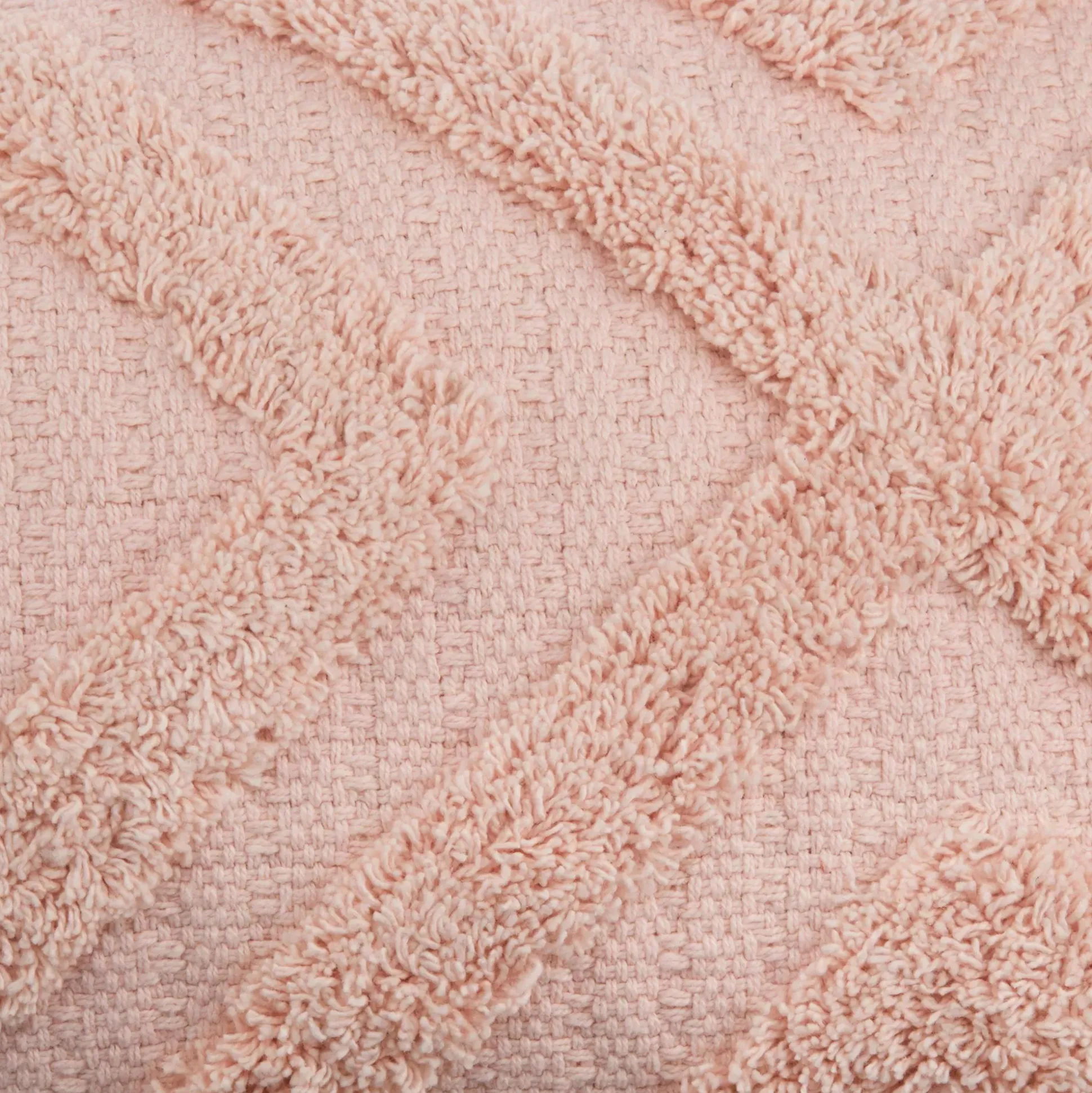Delana Lumbar Throw Pillow