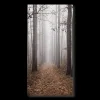 Fall Passage Printed Canvas
