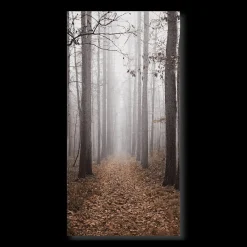 Fall Passage Printed Canvas
