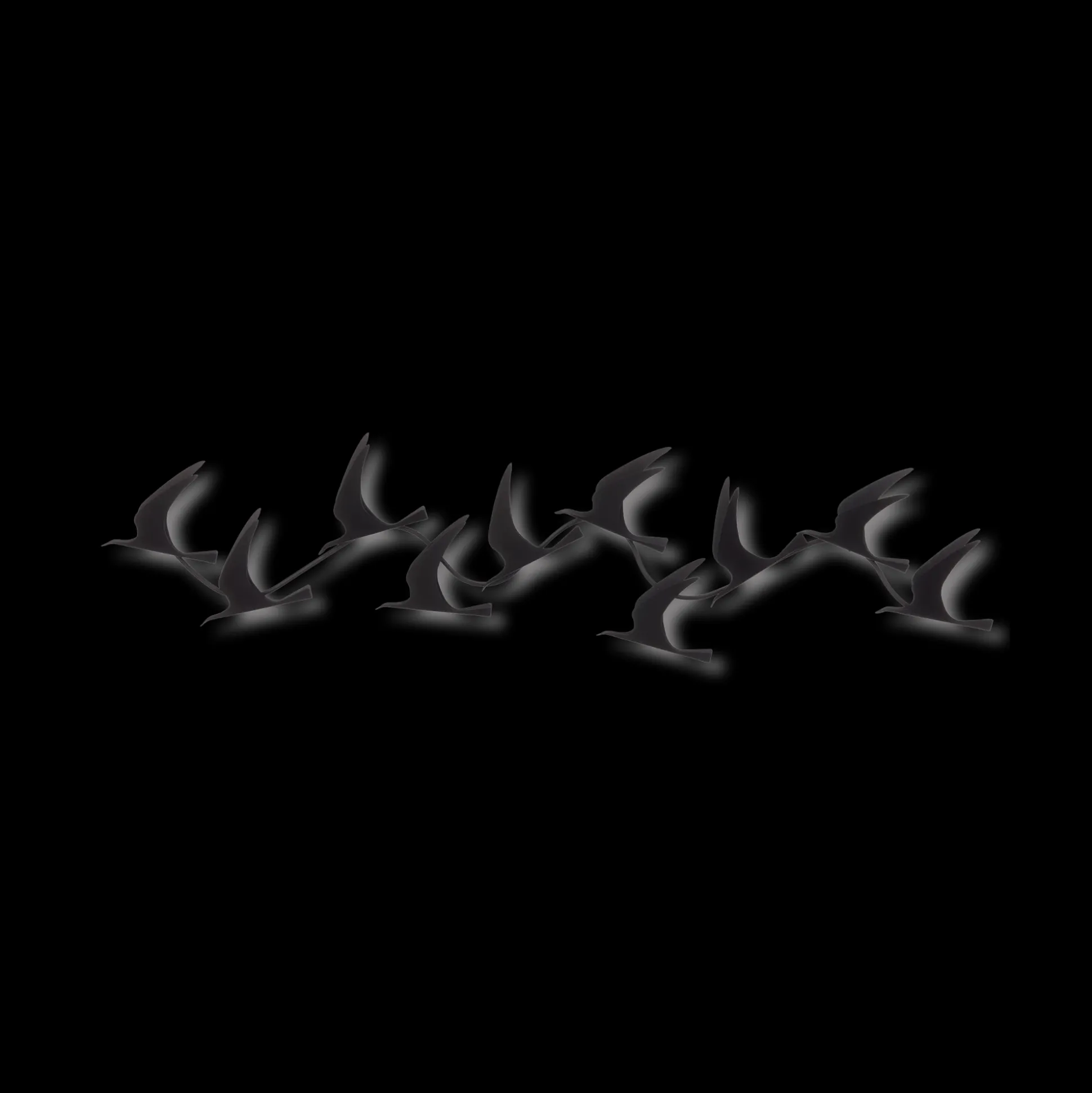 Flock of Birds Wall Art