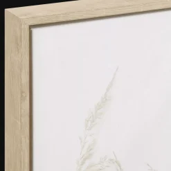 Framed Eucalyptus and Pampas