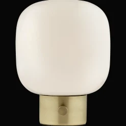 Glass and Metal Table Lamp