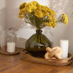Glass Dome with Wood Base