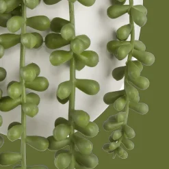 Hanging Leaves