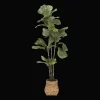 Large Fiddle-Leaf Fig Potted Floor Plant