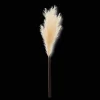 Pampas