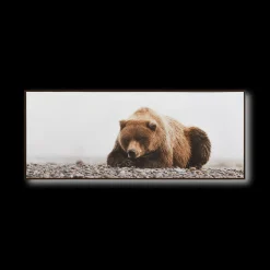 Resting Bear Framed Art