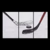 Set of 3 Hockey Printed Canvases