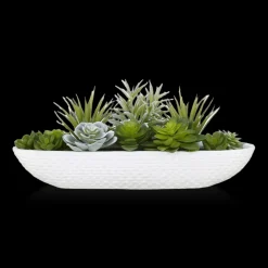 Succulents in Cement Tray