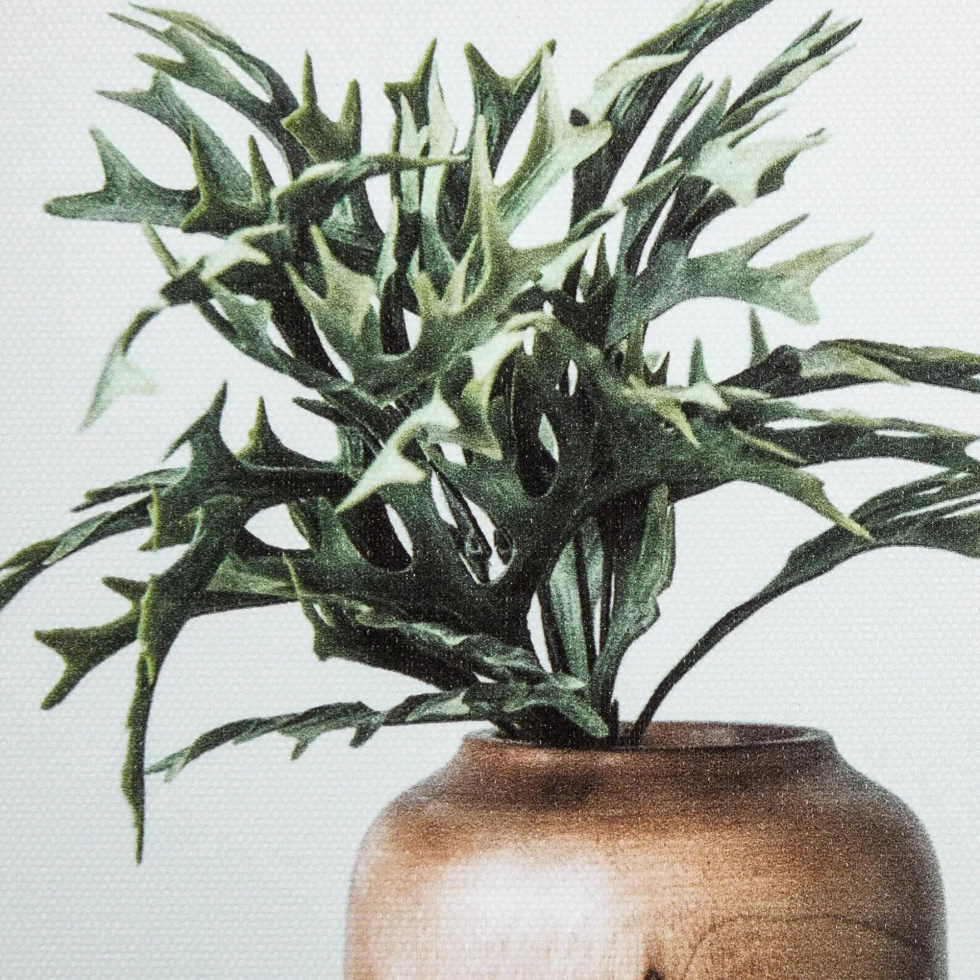 Succulents in Wood Vases Printed Canvas