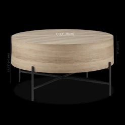Veneer and Metal Coffee Table