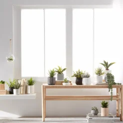 Waterfall Plant in Cement Pot